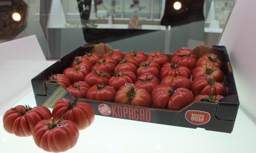 El Tomate Monterosa, de piel fina y sabor dulce, es un hibrido entre el tomate Pera de Girona y Costoluto Genoveso.