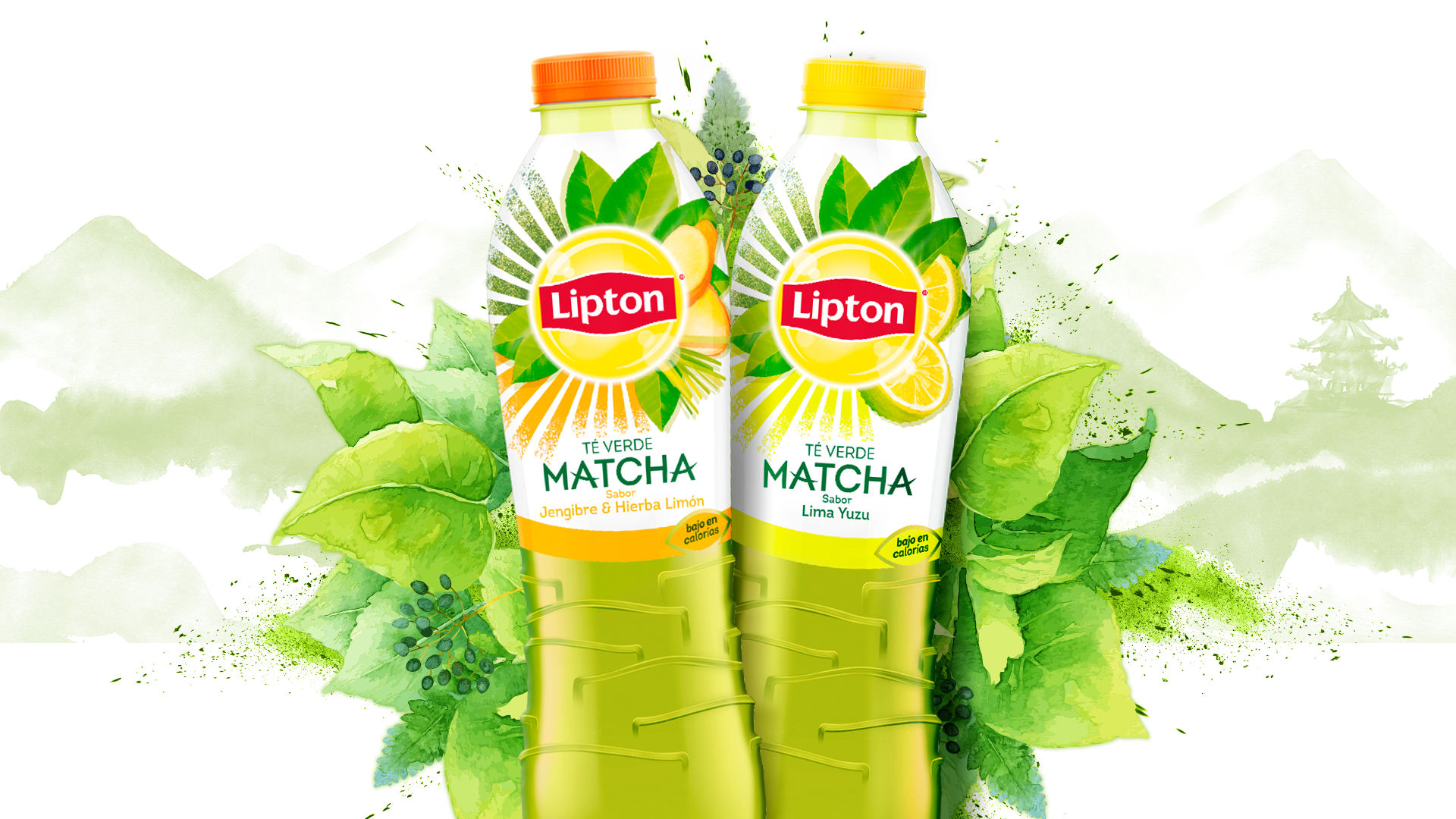 Картинки липтона. Липтон зеленый на белом фоне. Lipton 05 PNG. Сок Липтон. Липтон на зеленом фоне.