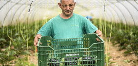 La venta nacional de los productos de Gardeniers supone el apoyo al mantenimiento de  47 empleos para personas con discapacidad intelectual.