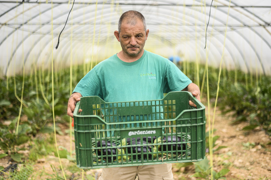 La venta nacional de los productos de Gardeniers supone el apoyo al mantenimiento de  47 empleos para personas con discapacidad intelectual.
