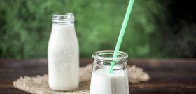 Un yogur entero cubre el 5% de gasto energético diario de un adulto.