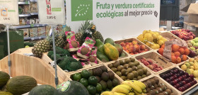 EcorganicGandíaFrescos