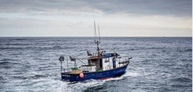 La compañía ha obtenido el Certificado ASC de pesca acuicultura sostenible que confirma que las especies comercializadas cumplen con los estándares de pesca responsable.