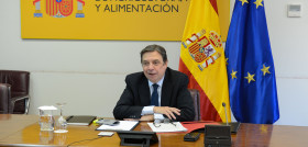 El ministro de Agricultura, Pesca y Alimentación, Luis Planas.