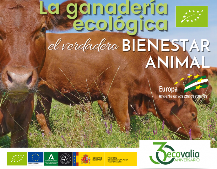 La ganadería ecológica evita el uso de productos químicos durante todo el proceso productivo, conserva el medio ambiente y el entorno natural y mantiene las condiciones necesarias para el desarroll