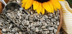 Las pipas de girasol se caracterizan por su alto contenido en vitamina E y su ayuda al funcionamiento del sistema inmunitario.