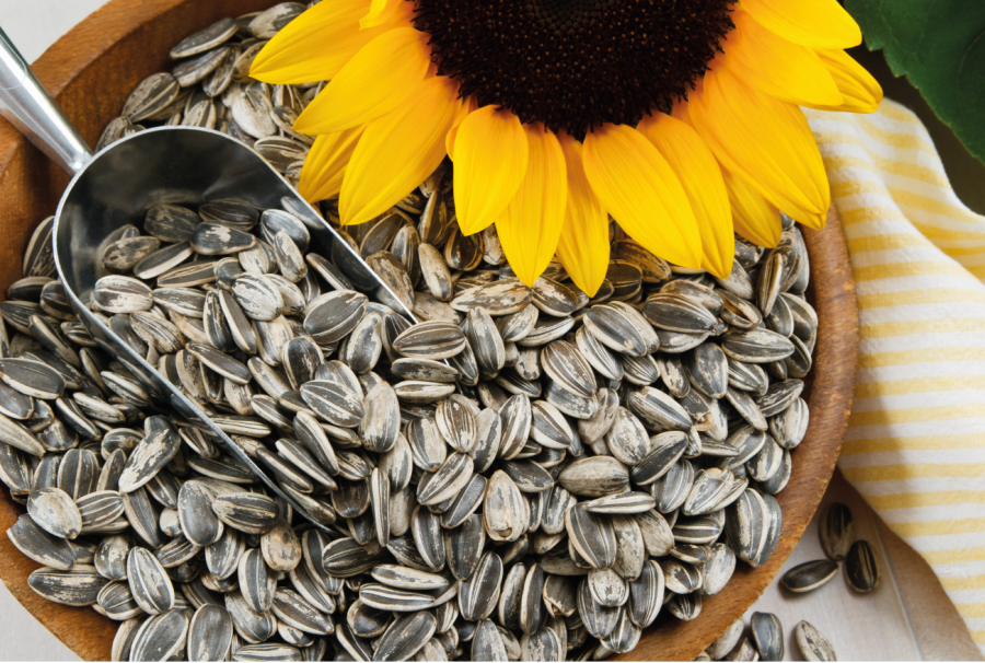 Las pipas de girasol se caracterizan por su alto contenido en vitamina E y su ayuda al funcionamiento del sistema inmunitario.