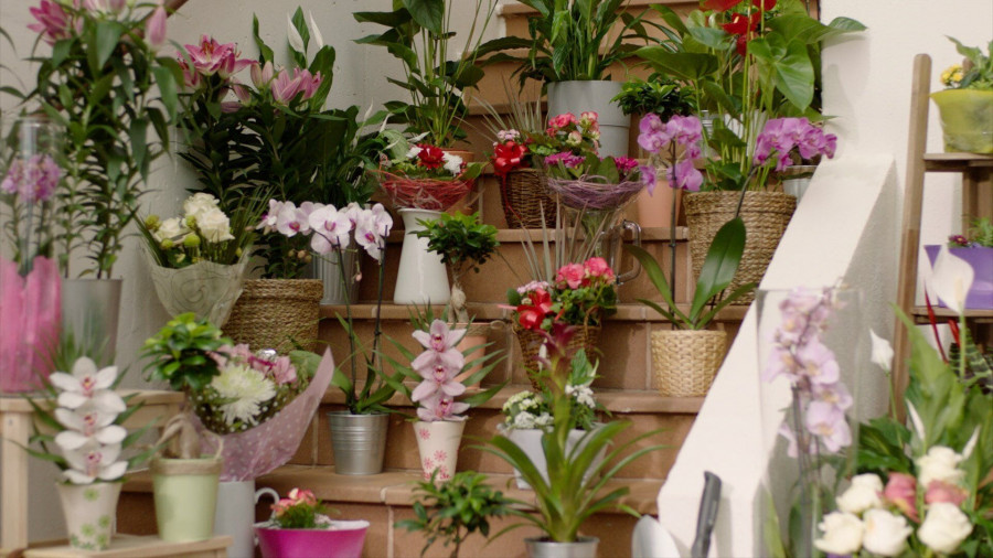 La cadena incrementa en apenas un año un 84% el número de flores, plantas y sustratos comercializados en sus más de 600 tiendas en el país.