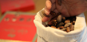 La nueva caldera utilizará la cascarilla resultante del proceso de torrefacción del cacao como materia prima para la obtención de vapor.