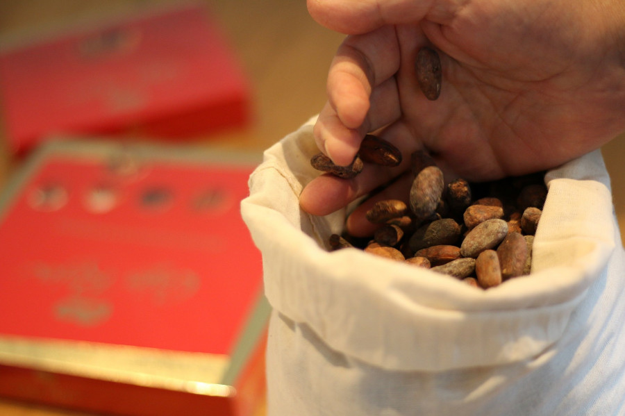 La nueva caldera utilizará la cascarilla resultante del proceso de torrefacción del cacao como materia prima para la obtención de vapor.