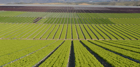 Con este acuerdo, MAAVi Innovation Center, el centro de investigación de Kimitec y mayor centro de biotecnología dedicado a la agricultura natural de Europa, se convierte en el nuevo centro de inves