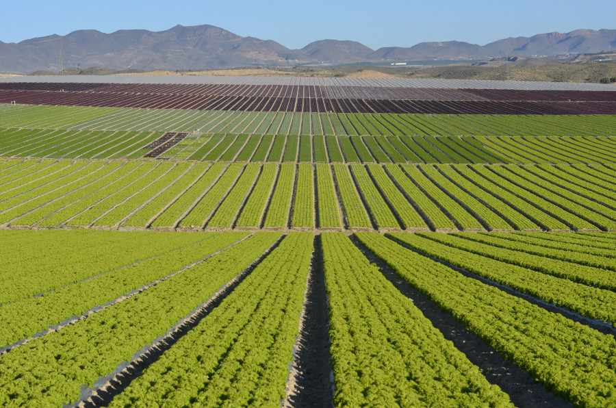 Con este acuerdo, MAAVi Innovation Center, el centro de investigación de Kimitec y mayor centro de biotecnología dedicado a la agricultura natural de Europa, se convierte en el nuevo centro de inves