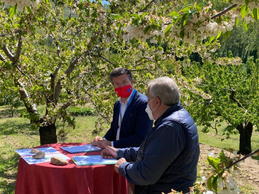 La compañía ha visitado las  instalaciones del Grupo Alba en la que se cultivan estas cerezas y picotas,  un encuentro que ha contado con la presencia de Alexandre de Palmas, director  ejecutivo de 