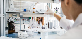 La aprobación como nuevo alimento, la responsabilidad de los operadores, la trazabilidad y la información al consumidor, disposiciones legales a tener en cuenta para su introducción en el mercad