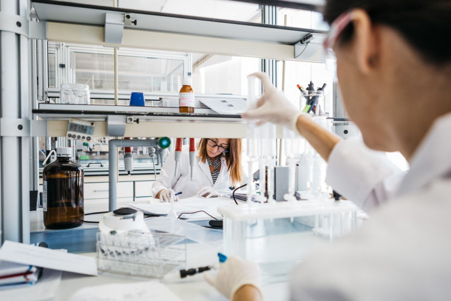 La aprobación como nuevo alimento, la responsabilidad de los operadores, la trazabilidad y la información al consumidor, disposiciones legales a tener en cuenta para su introducción en el mercad