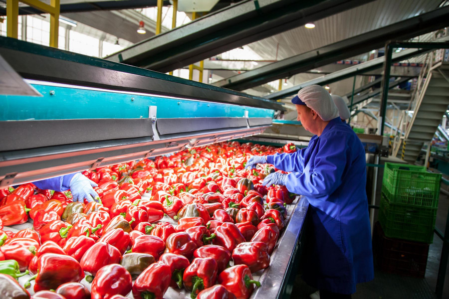 Almería se confirma como líder destacada de las exportaciones agroalimentarias y Málaga la que registra un mayor índice de crecimiento.