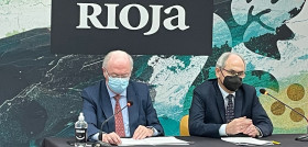 Fernando Salamero y José Luis Lapuente durante la comparecencia telemática.