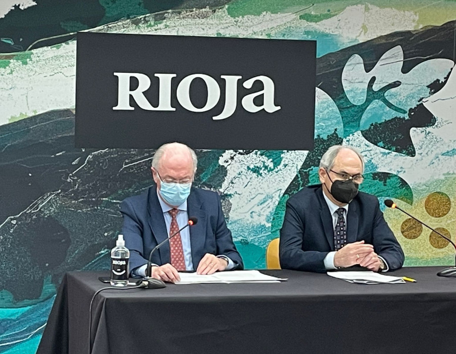Fernando Salamero y José Luis Lapuente durante la comparecencia telemática.