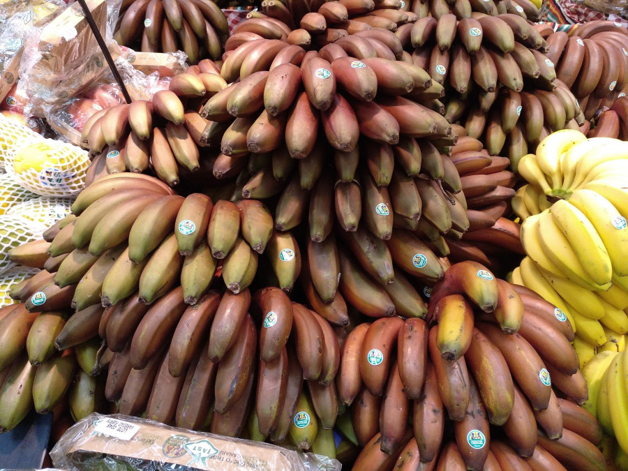 El plátano rojo destaca por un color rojo púrpura brillante, entre morado y marrón que ya le hace sobresalir del resto de la familia bananas/plátanos.