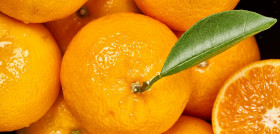 La mandarina premium estará en los mercados durante los próximos cinco meses.