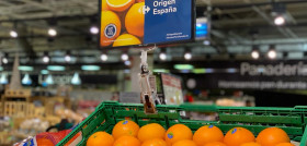 La compañía pone a disposición de sus clientes cítricos de calidad procedentes de las principales zonas productoras nacionales como Andalucía, Comunidad Valenciana y Murcia.