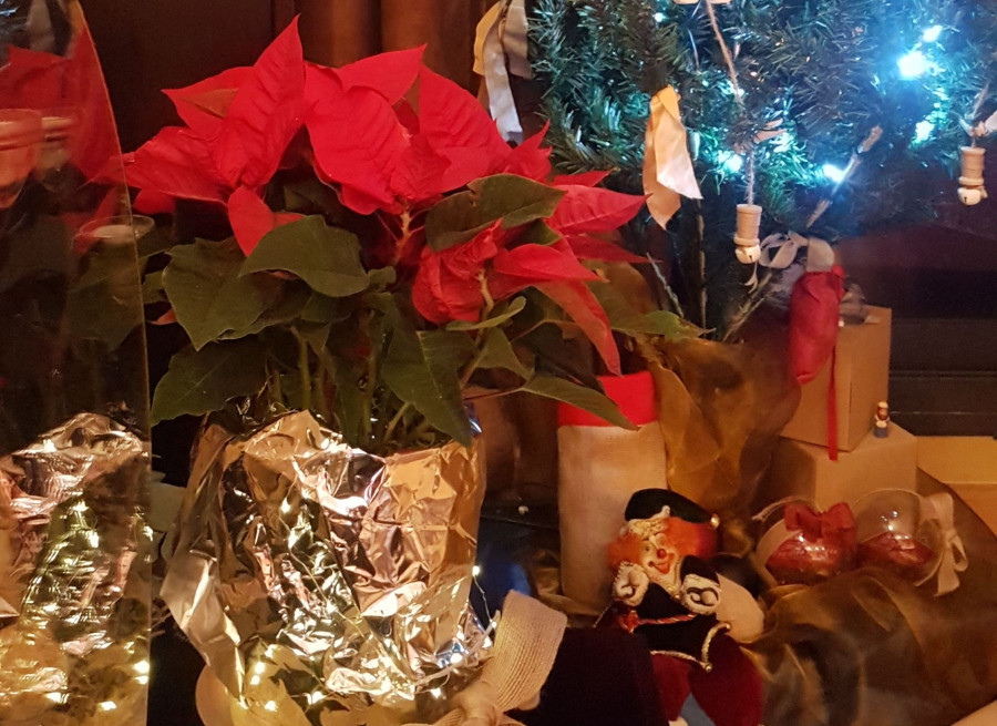 El crecimiento, ante unas navidades de cenas y comidas navideñas más caseras, viene impulsado por las macro categorías de alimentación, frescos y bebidas, que experimentan crecimientos por encima 