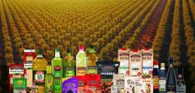 Las ventas en mercados internacionales representan un 71% del total de su cifra de ingresos, manteniendo su peso respecto al ejercicio anterior.