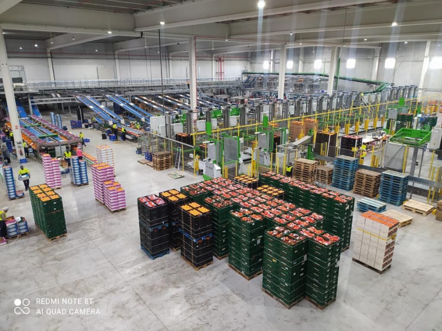 Con la incorporación de Frugarva al proyecto de The Natural Fruit Company, el grupo combinado supera los 200 millones de euros de facturación y se posiciona como uno de los líderes del sector cítr