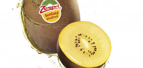 kiwi amarillo de Zespri.