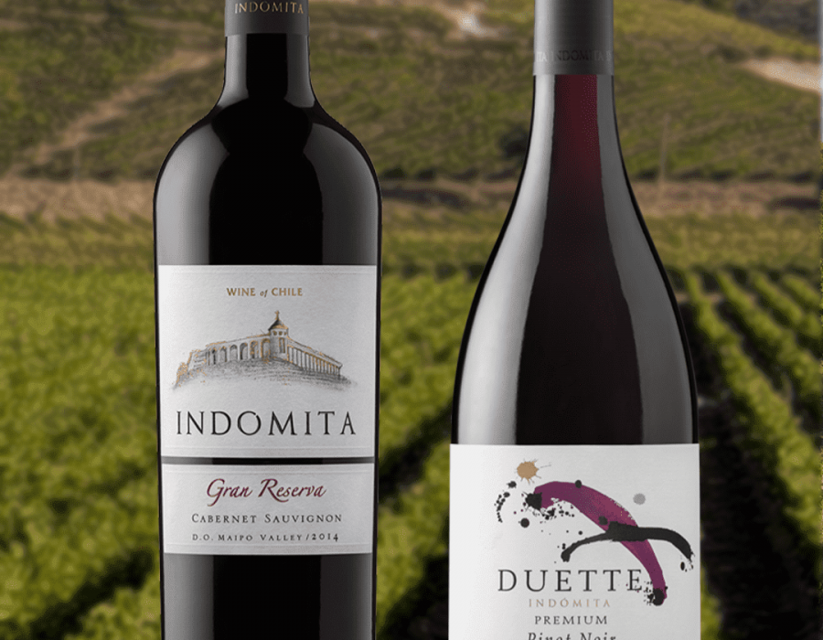 Grupo Marqués del Atrio, gracias a su alianza internacional con el grupo Changyu Pioneer Wine, introduce en España nuevas referencias internacionales de Australia y Chile.