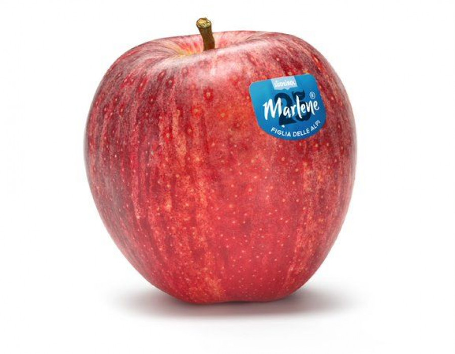 Nacida en 1995, la marca Marlene ha ido creciendo constantemente a lo largo de sus primeros veinticinco años convirtiéndose en una de las marcas más conocidas del sector hortofrutícola tanto en It
