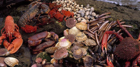 Mariscos Ogrove prepara un ambicioso cierre de año donde espera triplicar las ventas con respecto a las registradas en 2019.