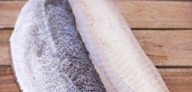 Este pescado es especialmente rico en proteínas, vitaminas D y B12 y aporta, también, selenio y yodo, indispensables para un buen funcionamiento del metabolismo. Además, procede de compañías pesq