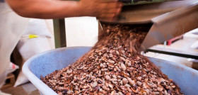 Imagen proceso de fabricación del chocolate.