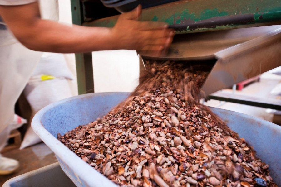 Imagen proceso de fabricación del chocolate.