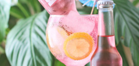 Felina no tiene azúcar, tiene 77 calorías y 1.5 g de carbohidratos por botella, es gluten free, vegana y se presenta en una botella ecofriendly.