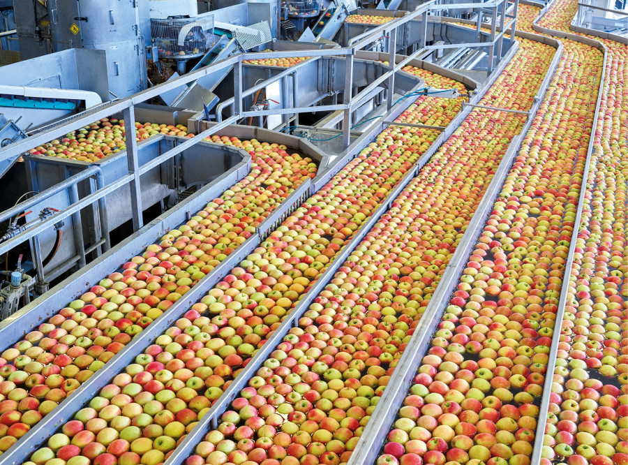 Vog Products se compone de 18 cooperativas de Trentino y Tirol del Sur y cuatro organizaciones productoras con más de 13.000 miembros.