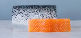 Una de las principales especies para España, tanto en volumen como en valor, es el salmón, del que en el primer semestre se exportaron a nuestro país 33.552 toneladas con un valor de 215’1 millon