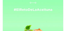 El recetario alberga las propuestas de 50 chefs, que suman 15 estrellas Michelin, que van desde las tapas hasta los postres.