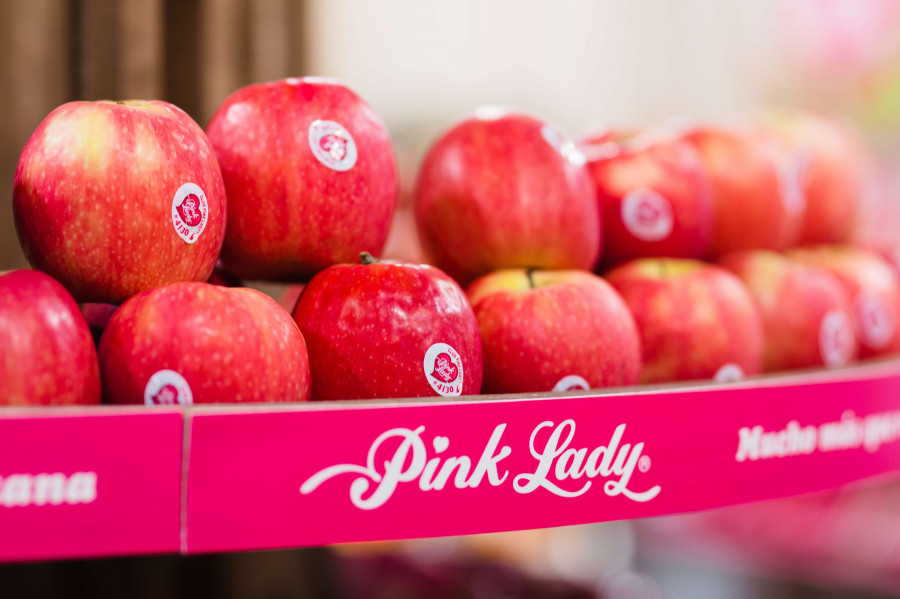 La manzana Pink Lady es una variedad resultante del cruce entre la Golden Delicious y la Lady Williams, con una estacionalidad que viene definida por un largo ciclo de maduración de siete meses.