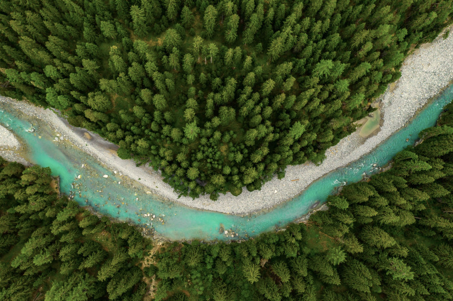 L’Oréal destinará 150 millones de euros para proyectos de restauración de ecosistemas marinos y forestales naturales dañados y apoyar a organizaciones benéficas locales en sus esfuerzos por com