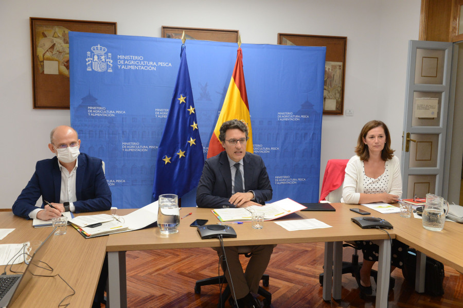 Fernando Miranda, ha presidido, por videoconferencia, la XI reunión del Pleno del Observatorio de la Cadena Alimentaria, con la participación del conjunto de las comunidades autónomas.