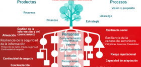 La resiliencia a largo plazo puede mostrarse en un organigrama en forma de árbol que ofrece una analogía útil, en la que varios elementos, tanto en la superficie como bajo tierra, son necesarios pa
