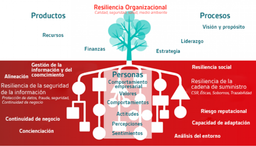 La resiliencia a largo plazo puede mostrarse en un organigrama en forma de árbol que ofrece una analogía útil, en la que varios elementos, tanto en la superficie como bajo tierra, son necesarios pa