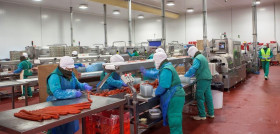 Los trabajadores en los mataderos, como en el resto de las industrias cárnicas, están protegidos por los equipos de protección individual para proteger su salud e integridad y evitar posibles conta