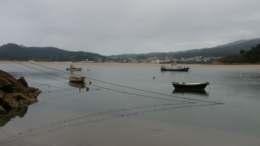 Su principal objetivo es apoyar la creación de nuevas organizaciones de productores de la pesca y la acuicultura, y la consecución de los objetivos de la Organización Común de Mercados.