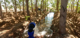 Se trata de un proyecto pionero a nivel mundial que llevará a cabo un tratamiento de las aguas residuales procedentes de la industria cervecera mediante tecnologías que imitan a la naturaleza.