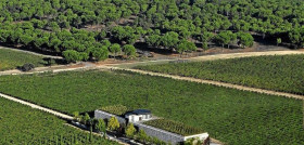 Grupo Valdecuevas ha adquirido la bodega “Finca Rodma”, situada en la milla de oro de la Ribera del Duero, en Quintanilla de Arriba.