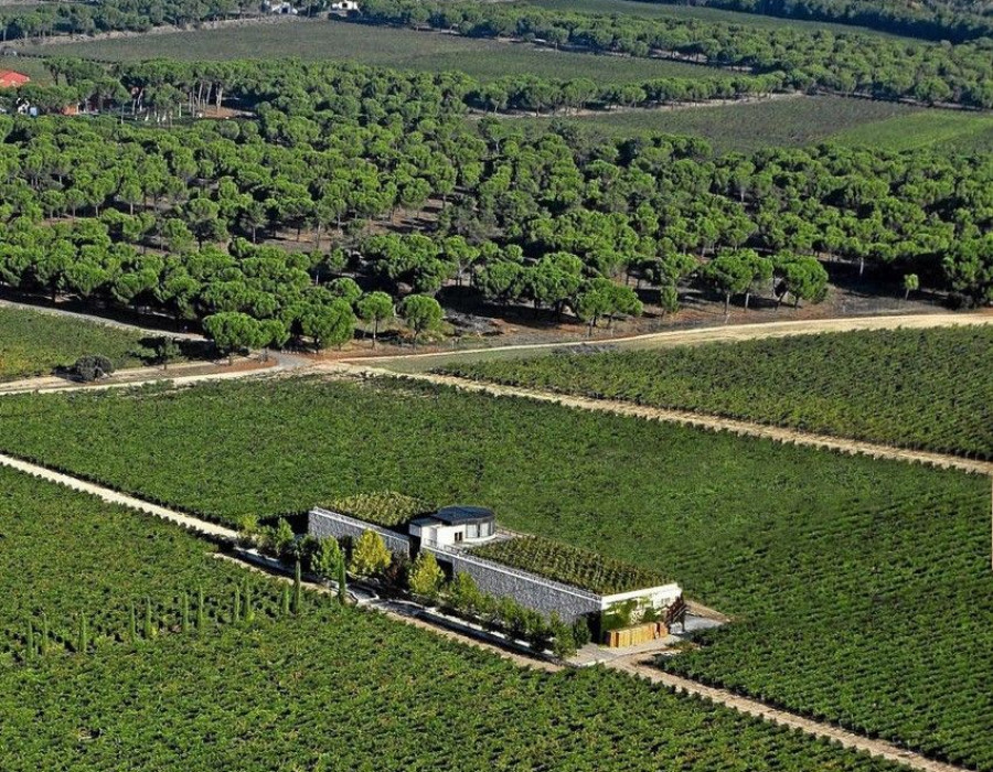 Grupo Valdecuevas ha adquirido la bodega “Finca Rodma”, situada en la milla de oro de la Ribera del Duero, en Quintanilla de Arriba.