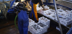 Los productos incluidos son la merluza de pincho y la pescadilla fina, que se podrán adquirir a 6,50 euros el kilo y a 3,90 euros el kilo, respectivamente.
